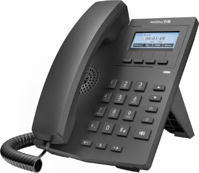 VEP300系列 IP话机